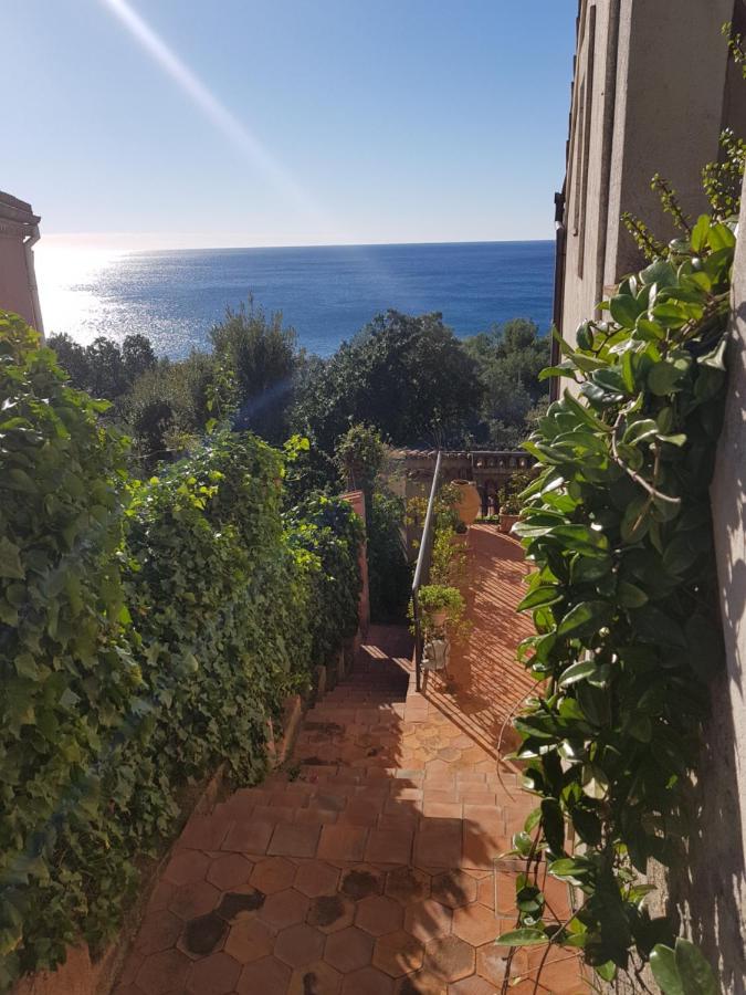 Bed And Breakfast Tenuta Palmieri Only Adult Maratea Exteriér fotografie