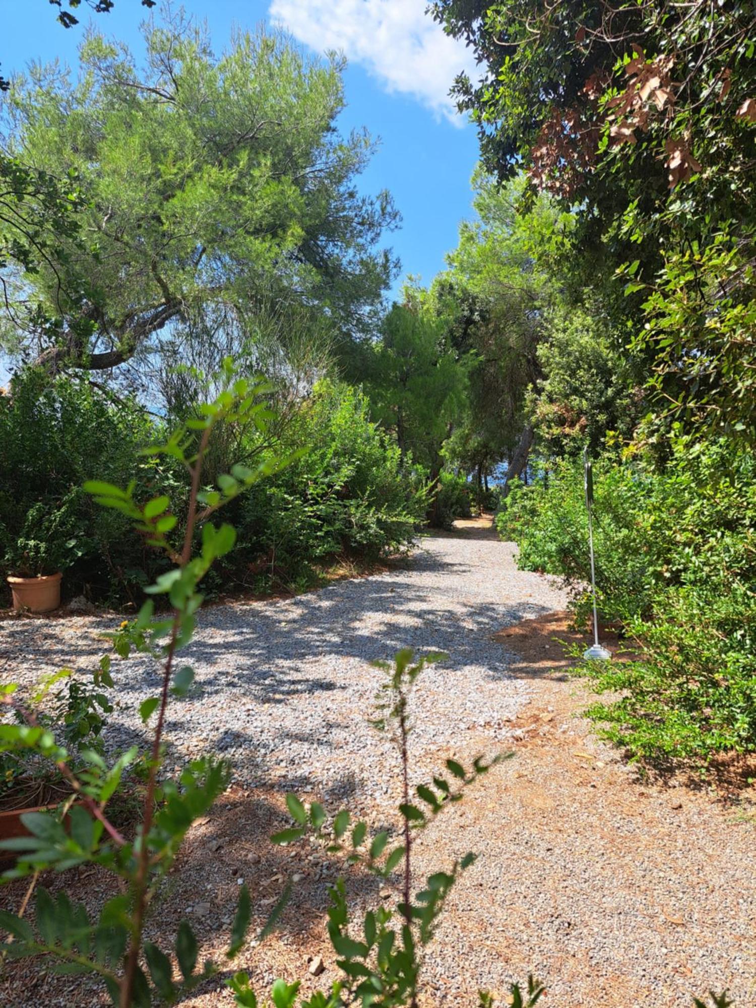 Bed And Breakfast Tenuta Palmieri Only Adult Maratea Exteriér fotografie